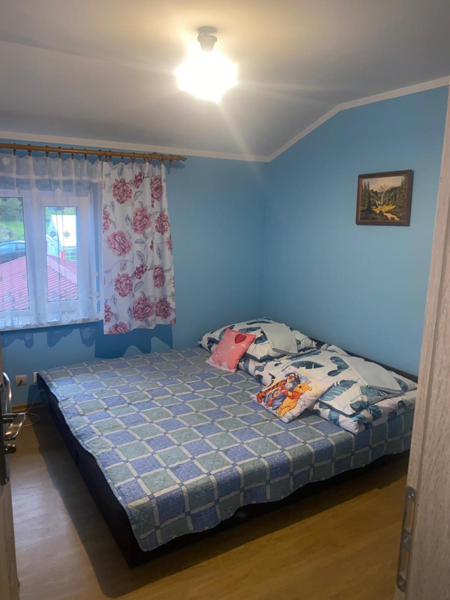 Kwatery Prywatne U Gosi Nad Solina Solina  Dış mekan fotoğraf